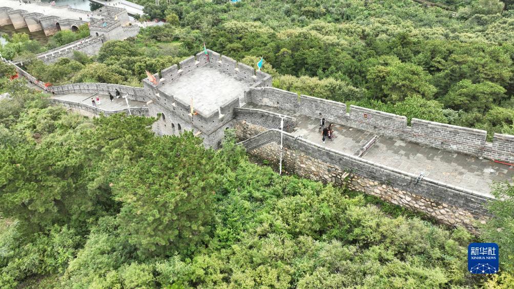 虎极地论坛官网